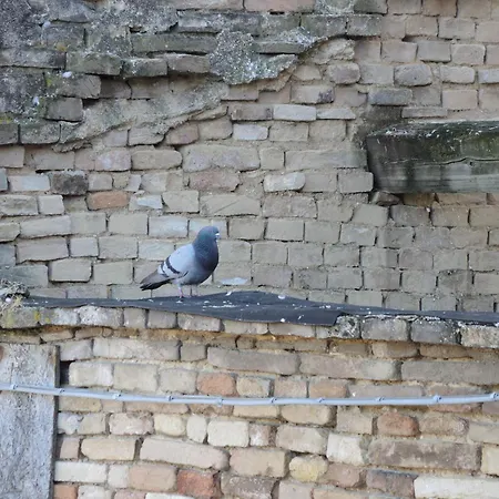 Il Buchetto - Nel Borgo Di Сasa de vacaciones Potenza Picena
